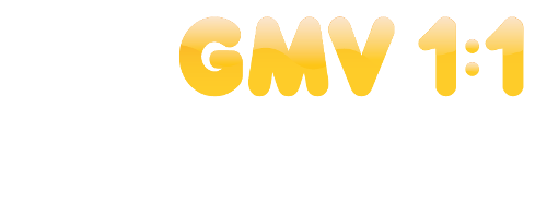 GMV 1:1 Technology GMV 1:1 Technology